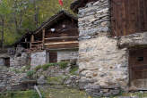 20061029_122418 Rustici.jpg